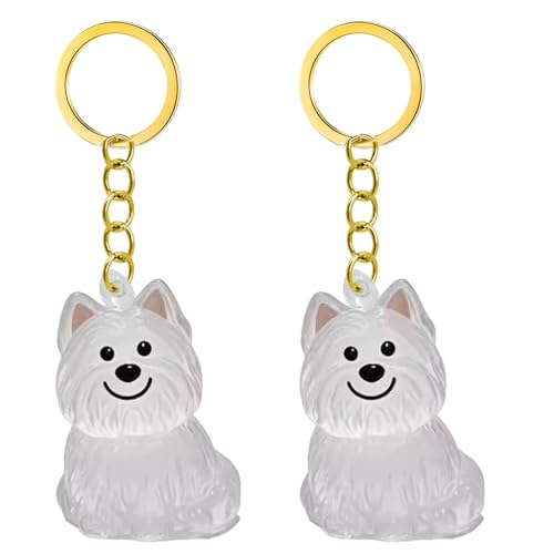 2/3/4/5/10PCSペットヘアファーズプリザーベーション犬の猫のためのキーチェーンストレージボックス記念碑