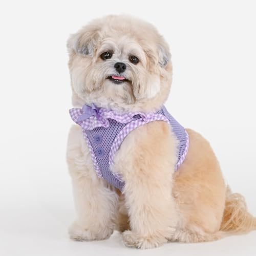 Harness B Vivien Violet XS : la solution contre les irritations du cou