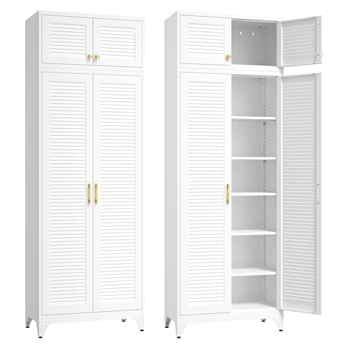 Metal Storage Cabinet with Doors and Shelves