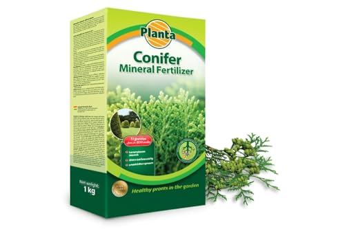 Conifer Fertilizer 1 kg – Mineral Granules for Thuja, Leylandii & Evergreen Hedges – NPK 4-13-22 with Magnesium & Sulphur – Supports Growth, Color & Density – Covers Up to 200 Plants
