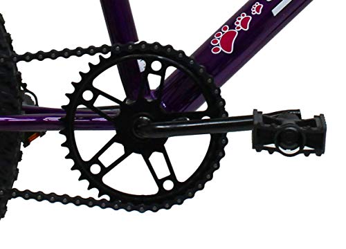 Bicicleta Aro 20 Infantil Feminina Com Cesta Saidx (Violeta)