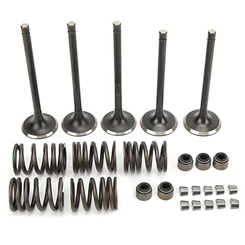 Kit de válvula de exaustão de admissão de cabeça cilíndrica, kit de reconstrução de mola de válvula