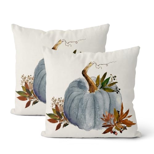 DAFENA 2 taies automne 18x18 po, motif citrouille gris-bleu