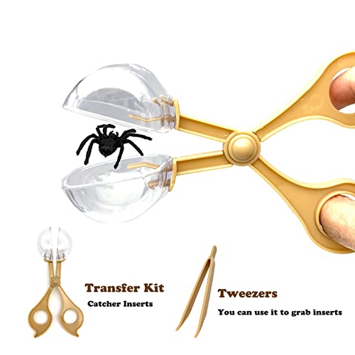 JTCJozz Bug Catcher Kit, Bug Collection Kit, Outdoor Nature Explorer Kit with Tweezers, Magnifying Glass, Science Educational Kit, Bug Observation Container for Boys and Girls (Gold) - Image 5