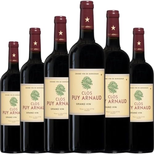 Clos Puy Arnaud tinto con crianza de Burdeos, vino francés con carácter elegante, notas frutales y equilibrio perfecto entre frescura y estructura.| 6 botellas