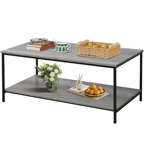 SENIG 2-Tier Coffee Table with Storage Shelf