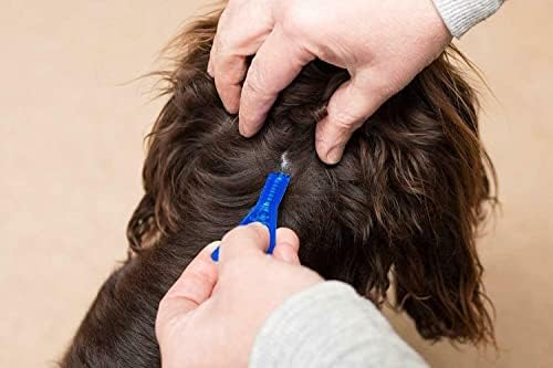 Leeway FRONTLINE SPOT ON SMALL DOG 2~10KG FLEA TICK & MITE KILLS & PREVENTS (X1 PIPETTE PACK)