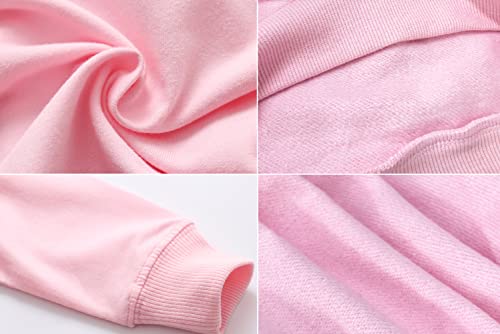 Retsugo Toddler Baby Girls Cat Sweatshirts Casual Pullover Crewneck Winter Long Sleeve Tops Shirts Clothes 2T(75-Cat 90) #TOP5