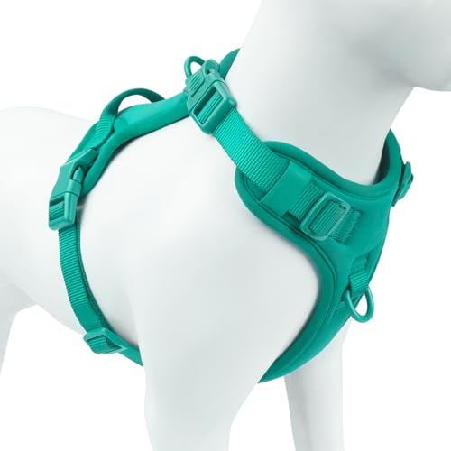 Sunraymascota No Pull Dog Harness for Small Sized Dogs, Puppy Vest No Choke