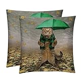 Personnalisez le design de votre oreiller avec notre fonction d'impression double face. Exprimez votre individualité et créez un design unique qui correspond à votre style personnel.