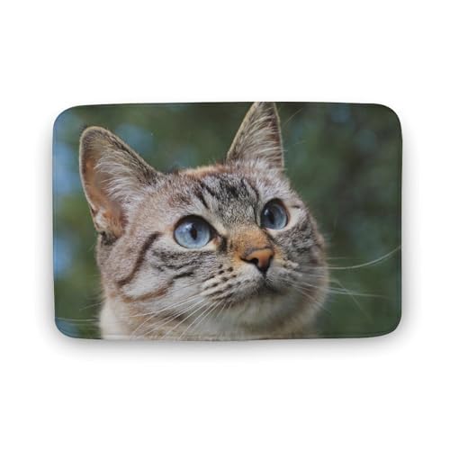 L   oX}bg z/唻 փ}bg  O    ~ Aj LN^[ @}bg   ʏ