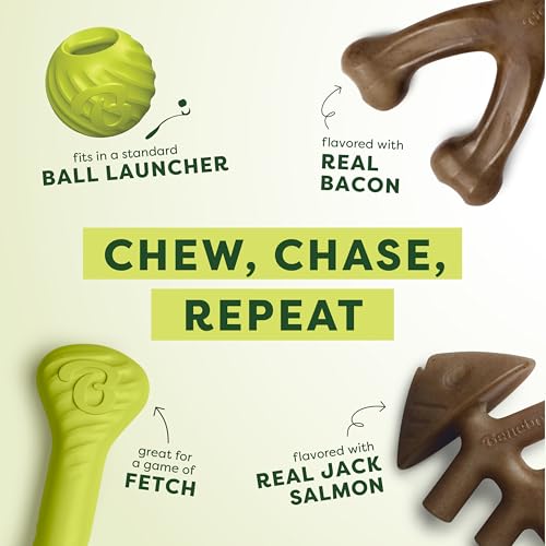 Image of Benebone 4-Pack Ball /Bone /Bacon Wishbone /Fishbone Medium