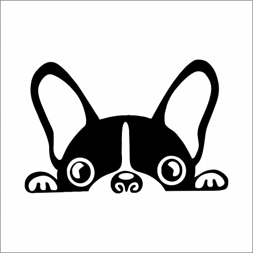 AMA SHOP Adesivo Prespaziato cane razza Bulldog Francese mod.3 colore nero | Adesivi per Auto | Sticker per Casco, Moto, Camper | Adesivo in PVC per Decalcomania Vetrofanie Parete, Murale