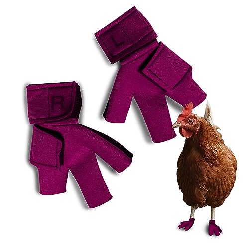Birdy Bootie Chicken Shoes for Injured Feet &ndash; Protective Neoprene Footwear for Chicken, Open-Toe...