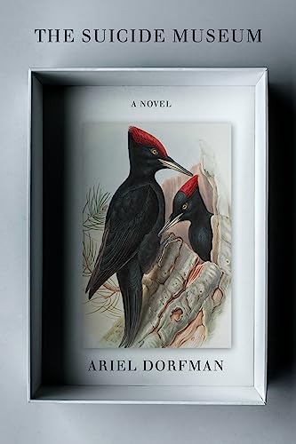 The Suicide Museum: A Novel (English Edition)
