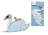 Edition Colibri