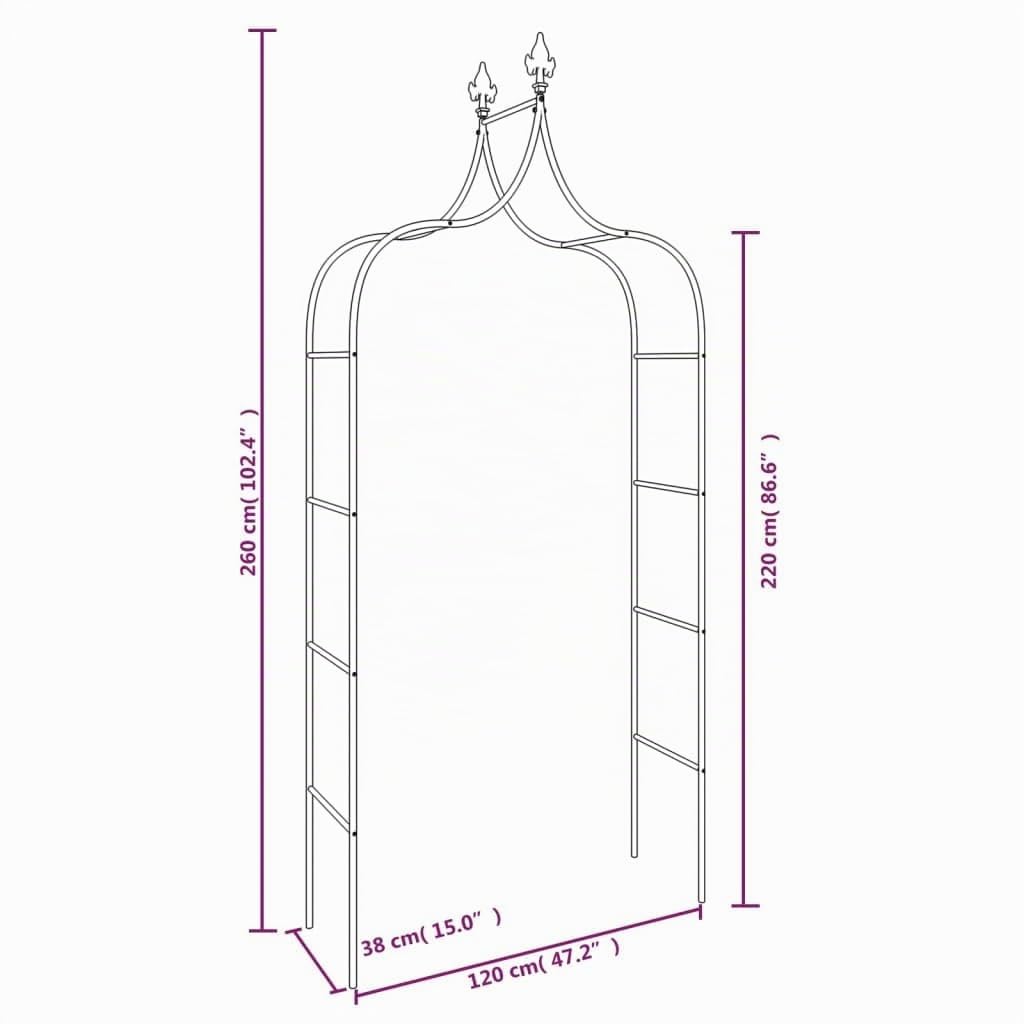 vidaXL Arches de Jardin 2 pcs Noir 120x38x260 cm Acier