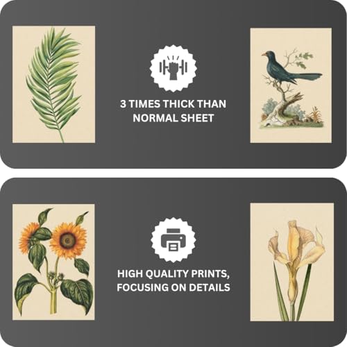 Image of Funk You Store Vintage Botanical Prints Wall Art (Set of 12) - Botanical Plant Poster, Butterfly Pictures Bird Art Sunflower Fern Prints, Flower Painting Home Bedroom Decorations (D 024)