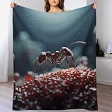 Blanket Taille: Taille de l'enfant (1pcs Blanket Throw): 1 lancer de couverture 100x130cm (40x50in) ， une seule taille (1pcs de couverture): 1 lancer de couverture 130x150cm (50x60 pouces), double taille (1pcs de couverture): 1 lancement de couverture 150 × 200cm (60 × 80in) parfait à utiliser lorsque les nuits froides à regarder la télévision, en lisant un livre sur un entraîneur, en regardant un film ou un chat au coin du feu （en particulier le camping et le pique-nique).