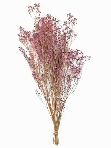 flor baby Marca Generic