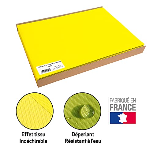 Pro Nappe - Cod. R785002I - Tovaglia monouso in tessuto non tessuto Spunbond - Rotolo 1,20 x 50 Mt - Materiale antistrappo, idrorepellente e facile da pulire - Avorio