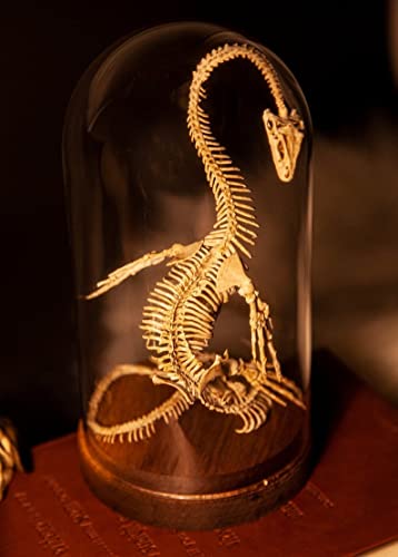 Wendigo Skeleton Curiosity Cabinet?Skeleton Sculpture Horror Monster Statue Decoration Gothic Creepy Art Ornaments Horror Monster Collection Personalized Skeleton Decoration Crafts (Loch Ness monster)