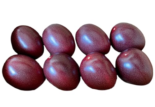 [kashiwa farm]購入奄美大島産 パッションフルーツ 2kg(サイズ混合)