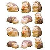 Micro-paysage : la finesse de la fabrication et l’apparence adorable du hérisson assurent sa popularité et son utilité, et lui confèrent une large application. figurines miniatures de hérissons