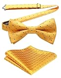 HISDERN Polka Dot Fliege und Einstecktuch für Herren, verstellbare Fliege für Hochzeitsfeier mit Geschenk Box