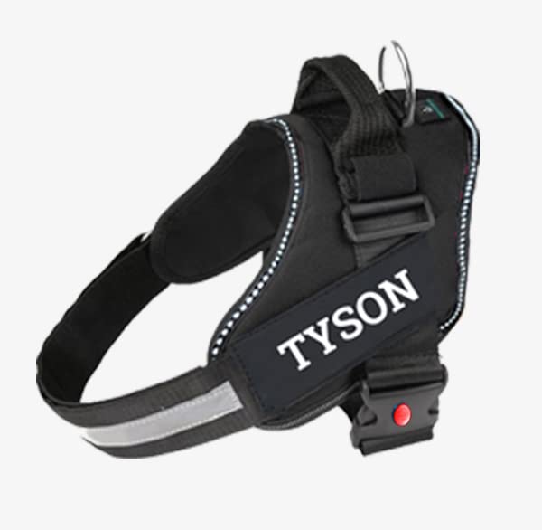 See full amazon price history chart for IndiHopShop Customized Dog Harness | Personalized Dog Harness with Dog Name | No Pull | Black (L) IndiHopShop Customized Dog Harness | Personalized Dog Harness with Dog Name | No Pull | Black (L) (B0C5N231TR) Amazon Price History, Amazon Price Tracker