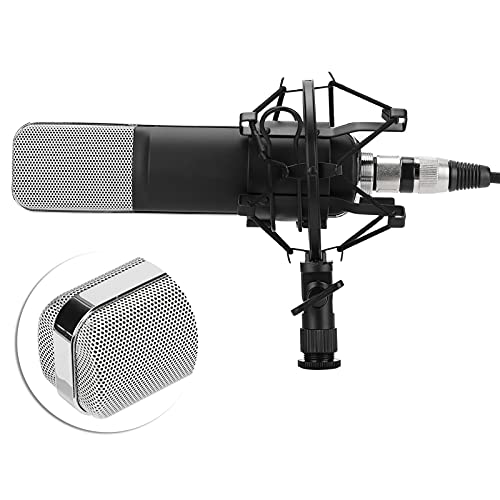 Que Es Un Microfono De Condensador