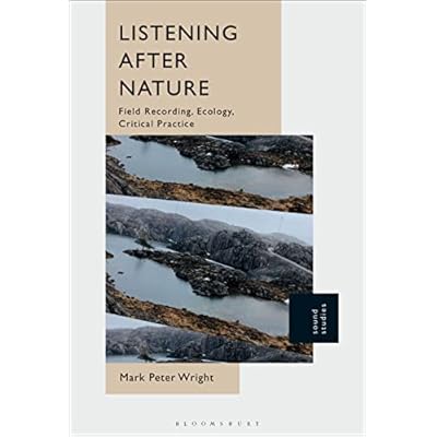 Listening After Nature