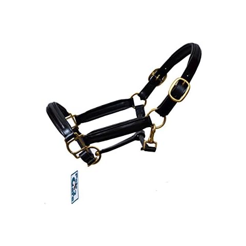 Pets2Care LEATHER HORSE HEAD COLLAR FULLY RAISED AND PADDED BLACK COLOR BRASS FITTING SIZE COB Cover