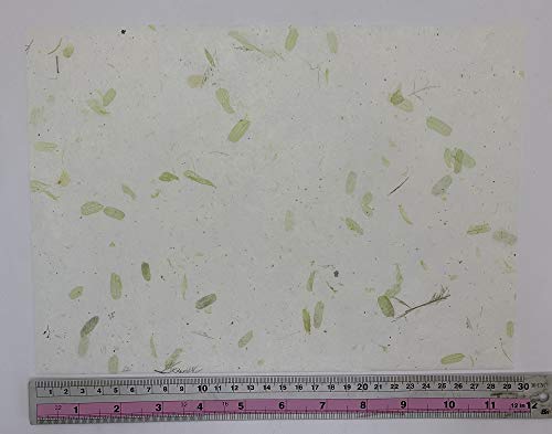 50 Sheets Size A4 Thin Mulberry Paper Sheets Design Craft Handmade Art Origami Paper Washi Paper Unryu Suppliers (Mixed Green) #TOP5