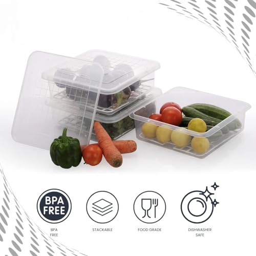 Image of GO STORE Pack of 2 Plastic Storage Containers Set for Kitchen | Freezer Storage Containers, Kitchen Storage Set, Fridge Storage Boxes for Fish, Meat, Vegetables, Fruits | Transparent (2500 ML)