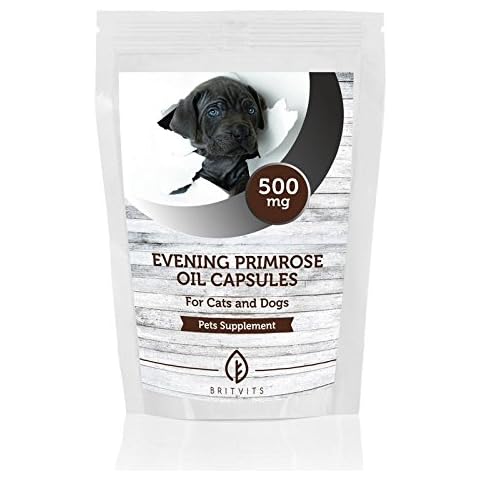Evening Primrose Oil 500mg for Cats and Dogs Pets x60 Capsules Health Food Supplements Cover