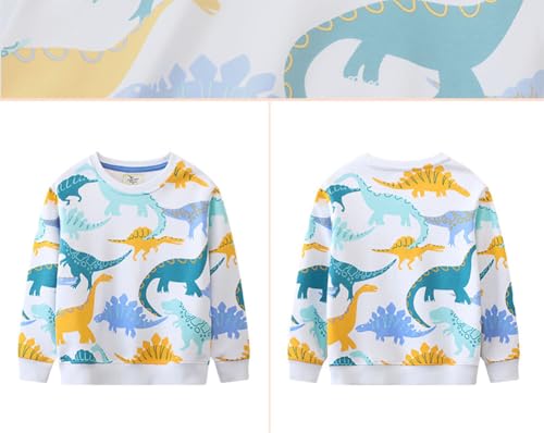 Boys Sweatshirts Casual Sweatshirts Cotton Sweatshirts Long Sleeve T-shirts Crew Neck Cartoon Tops for Boys-574