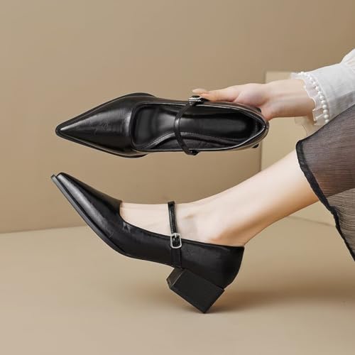 LUXINYU Women Comfortable Microfiber Upper Pointed Toe High Heels Metal Buckle Strap Block Chunky Low Heel Pumps Fashion Party Dress Shoes Work Shoes 5