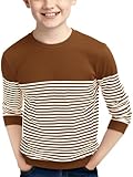 Haloumoning Boys Striped Sweaters Kids Fall Fashion Crewneck Rib Knit Pullover Sweater 5-14 Years Brown