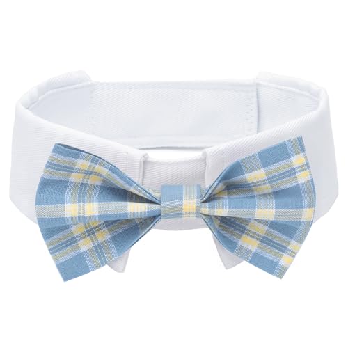 JUNENTER p^LV[hlN^C - ̒߉\ȔtH[}ybgLplN^CtubNlN^CA^^p EFfBOO[~O{aMtg