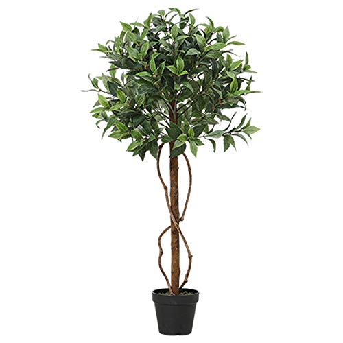 yRoomnhomeztFCNO[ lHϗtAV[Y 85p  ϗtA O[CeA v[g (j85)