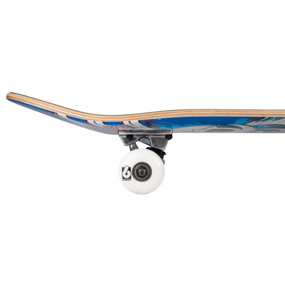 Skateboard professionnel BIRDHOUSE x Tony Hawk Entry Level Stage 1 – Excellente performance à tous les niveaux (bleu spiral, 7,75")