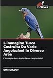  L\'immagine Turca Costruita Da Varie Angolazioni In Diverse Aree: L\'immagine turca trasferita nei campi artistici
