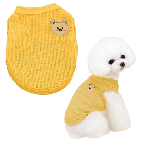  TVc    ܕ xXg ̕ L ybg hbOEFA ybgEFA _炩  ʋC t H Eѕی U o L q ^ ^ (CG[, XLF4`6kg)