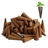 MmotZsb 50 Hydroponische Wachstumsschwämme, Hydroponisches Anzuchtsystem, Ideal Für Kräuter Und Gemüse, Kompatibel Mit AeroGarden, 2.3X6.4X1 cm
