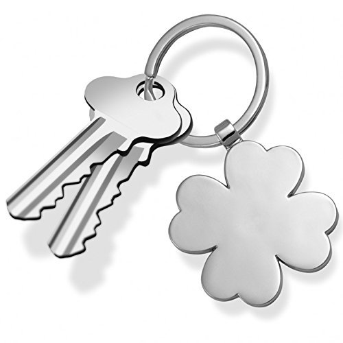 Preisvergleich Produktbild Schlüsselanhänger Keeblatt Silber Farben Metall LuckyYou