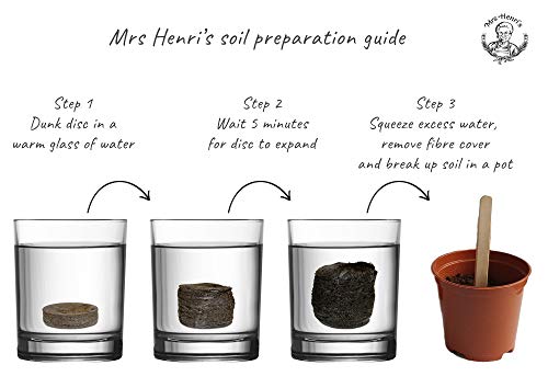 Ensaladas - [Mrs Henris Plant Growing Kit]. Cultiva 6 ensaladas ...