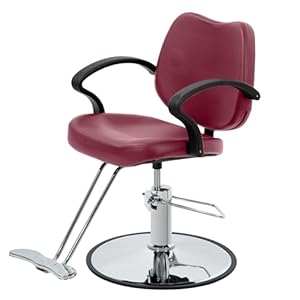 PayLessHere Barber Chair Salon Chair Styling Heavy Duty Hydraulic Pump Stylist Chair Adjustable Hydraulic Chair for Hair Stylist Women Man，Burgundy