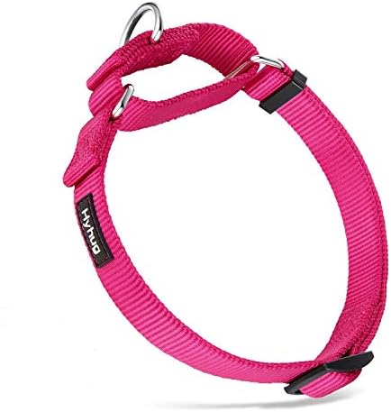 Hyhug Heavy Duty Nylon Anti - Escape Martingale Dog Collar for Large Medium Small Boy and Girl Dogs - Walking Training Daily Use. (Medium, Red)