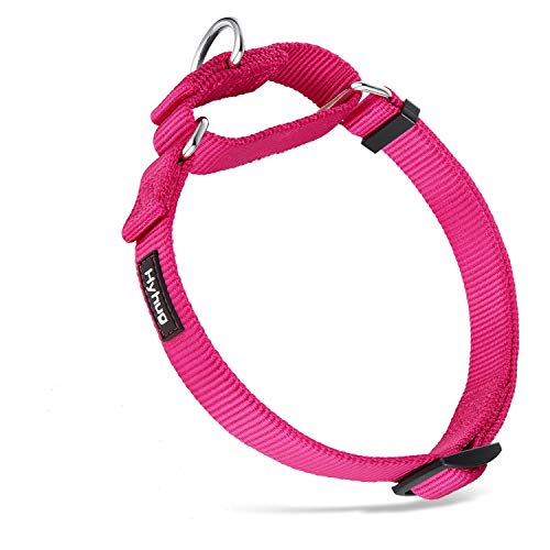 Find The Best Training Collar For Huskies Reviews & Comparison Katynel